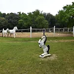 Διαμέρισμα Fiorela 1 By Interhome *