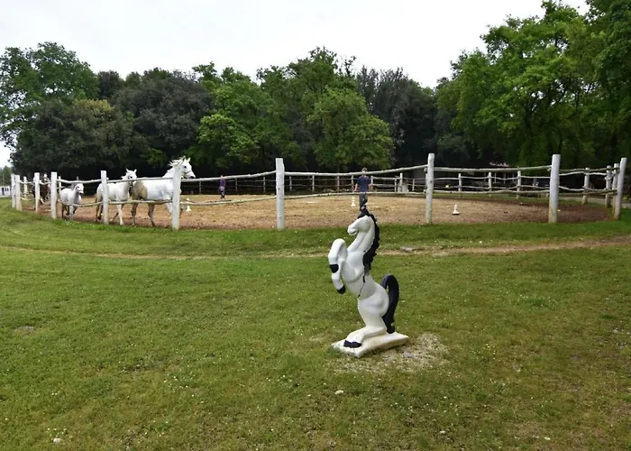 Appartamento Fiorela 1 By Interhome *