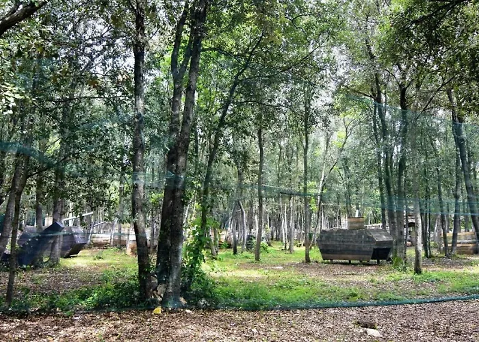 Appartamento Fiorela 1 By Interhome Porec