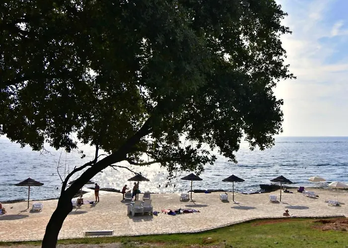 Fiorela 1 By Interhome Appartamento Porec